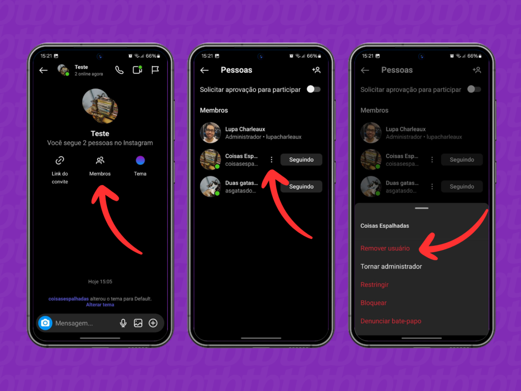 Capturas de tela do aplicativo Instagram revelam como remover usuário de um bate-papo em grupo