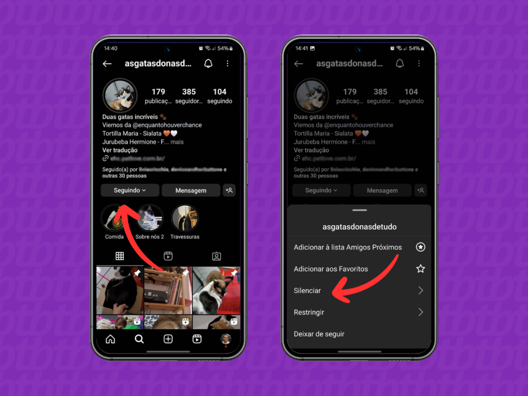 Capturas de tela do aplicativo Instagram mostram a opção Silenciar